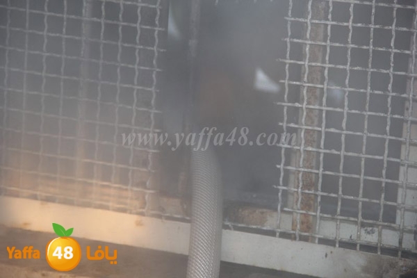 fire tomashin 0129 (8).JPG